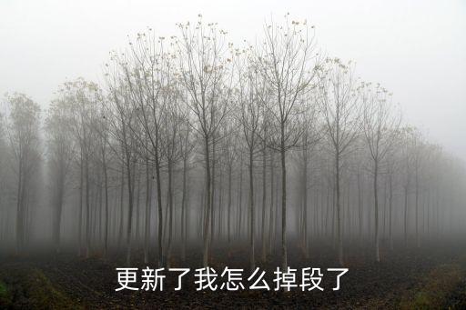 更新了我怎么掉段了