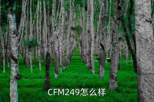 CFM249怎么样