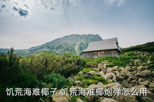 饥荒海难椰子 饥荒海难椰炮弹怎么用