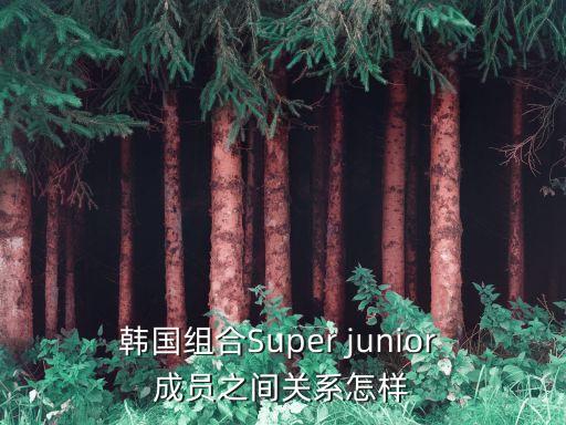 韩国组合Super junior 成员之间关系怎样