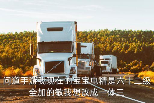 问道手游我现在的宝宝电精是六十二级全加的敏我想改成一体三