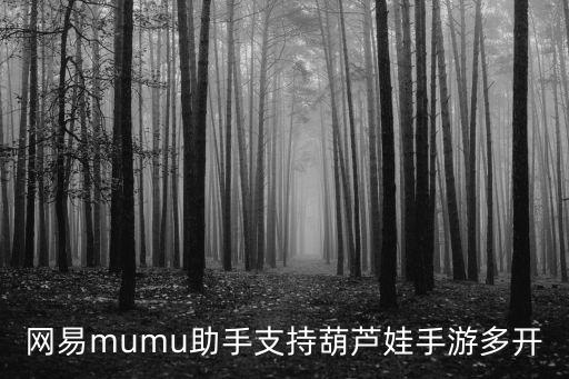 网易mumu助手支持葫芦娃手游多开