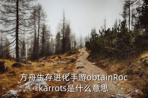 方舟生存进化手游obtainRockarrots是什么意思