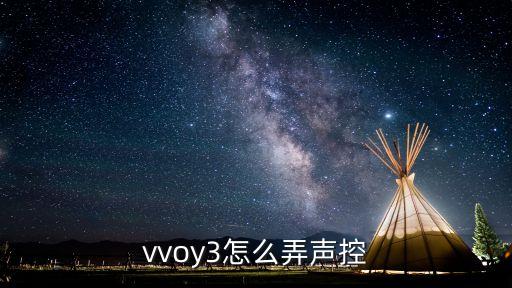 vvoy3怎么弄声控