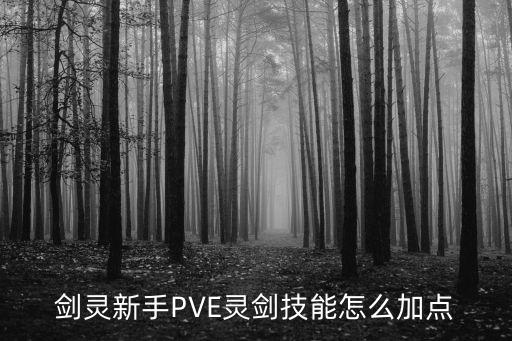 剑灵新手PVE灵剑技能怎么加点