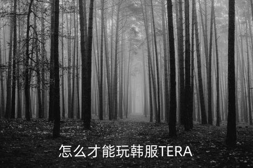 怎么才能玩韩服TERA