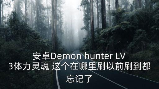 安卓Demon hunter LV3体力灵魂 这个在哪里刷以前刷到都忘记了