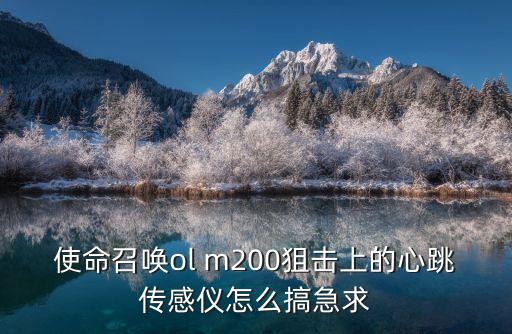 使命召唤ol m200狙击上的心跳传感仪怎么搞急求