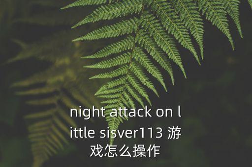 night attack on little sisver113 游戏怎么操作