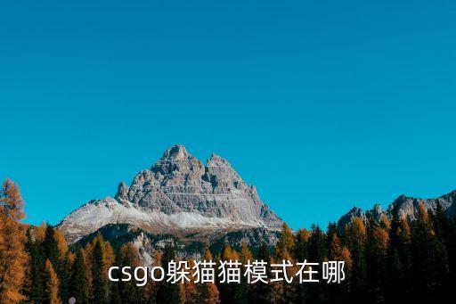 csgo躲猫猫模式在哪