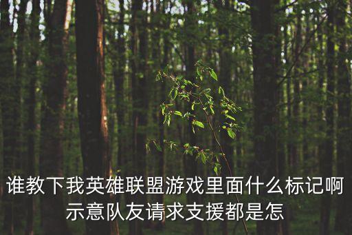 谁教下我英雄联盟游戏里面什么标记啊示意队友请求支援都是怎