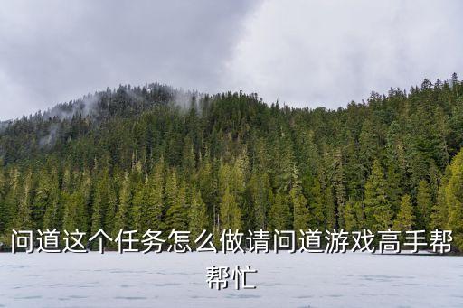 问道这个任务怎么做请问道游戏高手帮帮忙