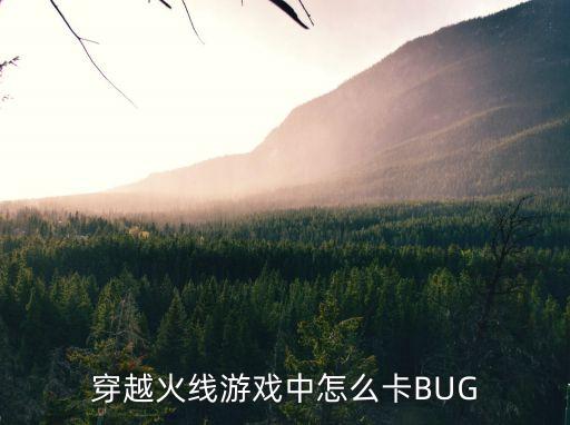 穿越火线游戏中怎么卡BUG