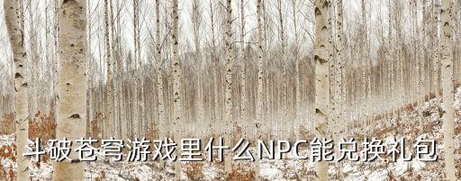 斗破苍穹游戏里什么NPC能兑换礼包