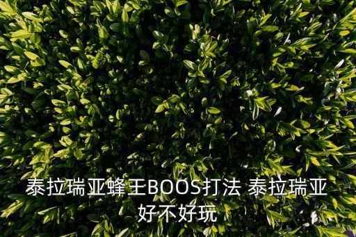 泰拉瑞亚蜂王BOOS打法 泰拉瑞亚好不好玩