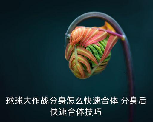 球球大作战分身怎么快速合体 分身后快速合体技巧