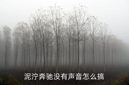 泥泞奔驰没有声音怎么搞