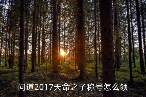 问道2017天命之子称号怎么领