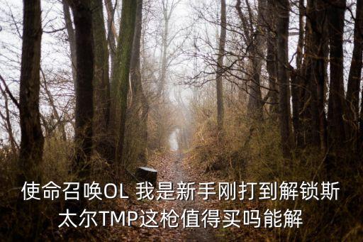 使命召唤OL 我是新手刚打到解锁斯太尔TMP这枪值得买吗能解