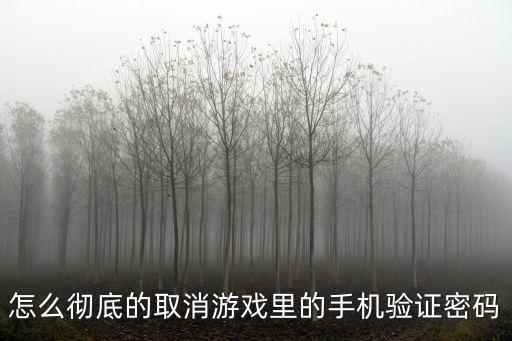 怎么彻底的取消游戏里的手机验证密码