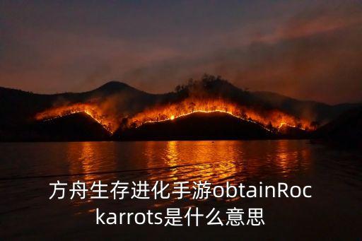 方舟生存进化手游obtainRockarrots是什么意思