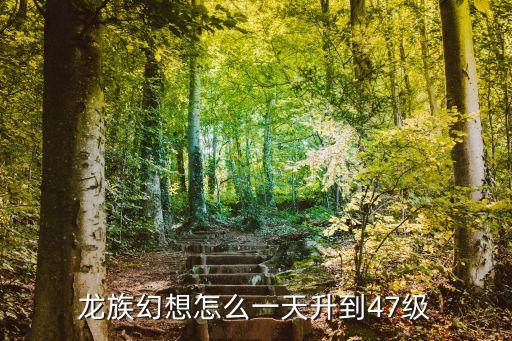 龙族幻想怎么一天升到47级