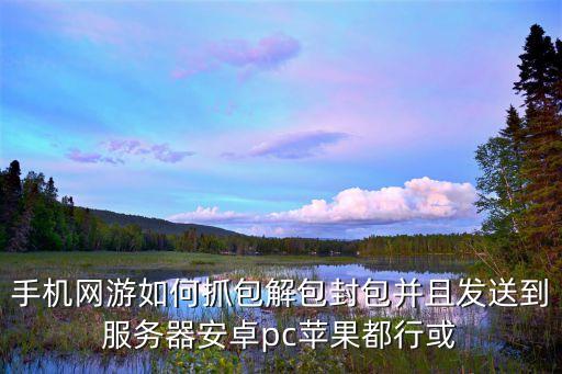 手机网游如何抓包解包封包并且发送到服务器安卓pc苹果都行或