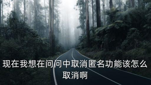 现在我想在问问中取消匿名功能该怎么取消啊