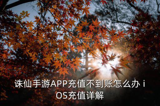 诛仙手游APP充值不到账怎么办 iOS充值详解