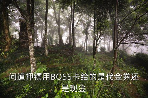 问道押镖用BOSS卡给的是代金券还是现金