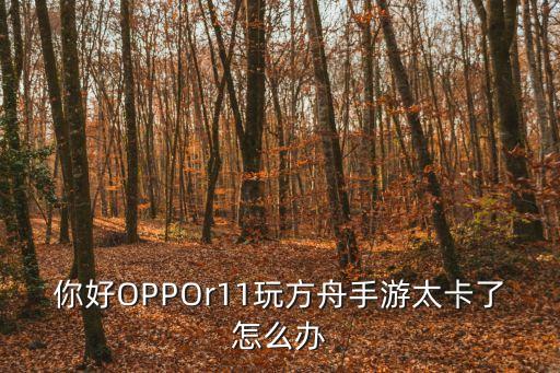 你好OPPOr11玩方舟手游太卡了怎么办