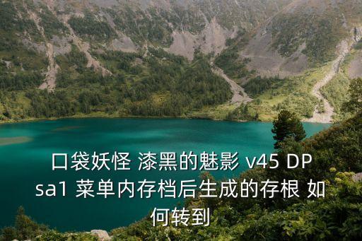 口袋妖怪 漆黑的魅影 v45 DPsa1 菜单内存档后生成的存根 如何转到