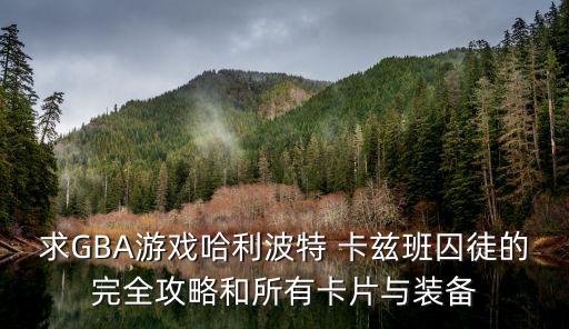 求GBA游戏哈利波特 卡兹班囚徒的完全攻略和所有卡片与装备