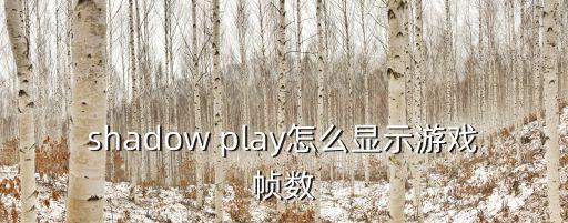 shadow play怎么显示游戏帧数