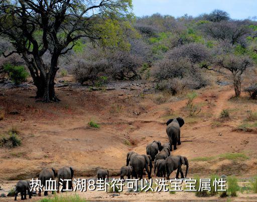 热血江湖8卦符可以洗宝宝属性