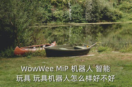 WowWee MiP 机器人 智能玩具 玩具机器人怎么样好不好