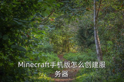 Minecraft手机版怎么创建服务器