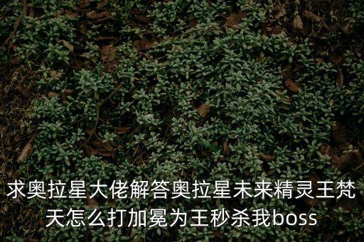 求奥拉星大佬解答奥拉星未来精灵王梵天怎么打加冕为王秒杀我boss