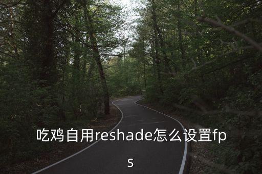 吃鸡自用reshade怎么设置fps