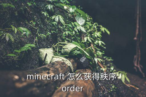 minecraft 怎么获得秩序 order