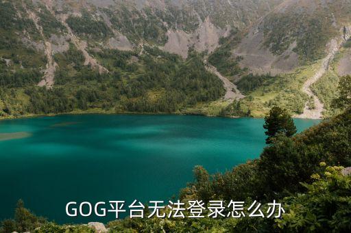 GOG平台无法登录怎么办