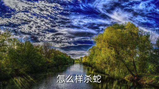 怎么样杀蛇