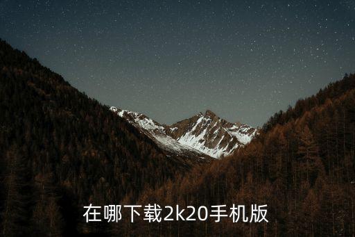 在哪下载2k20手机版