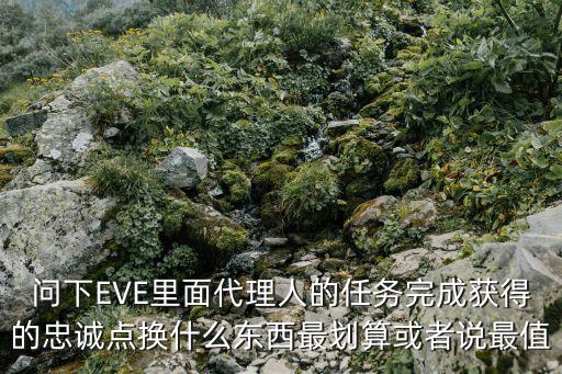 问下EVE里面代理人的任务完成获得的忠诚点换什么东西最划算或者说最值