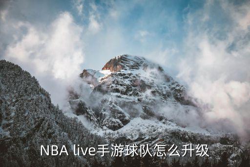 NBA live手游球队怎么升级