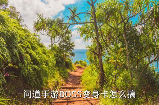 问道手游BOSS变身卡怎么搞