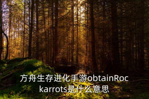 方舟生存进化手游obtainRockarrots是什么意思