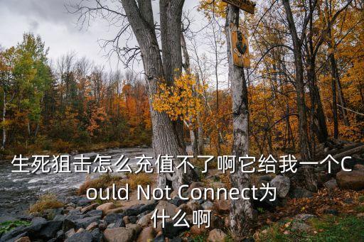 生死狙击怎么充值不了啊它给我一个Could Not Connect为什么啊