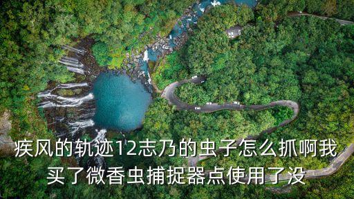 疾风的轨迹12志乃的虫子怎么抓啊我买了微香虫捕捉器点使用了没