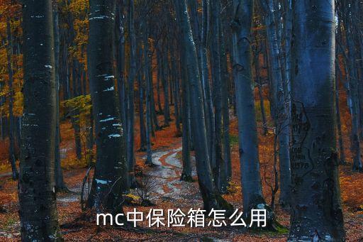 mc中保险箱怎么用